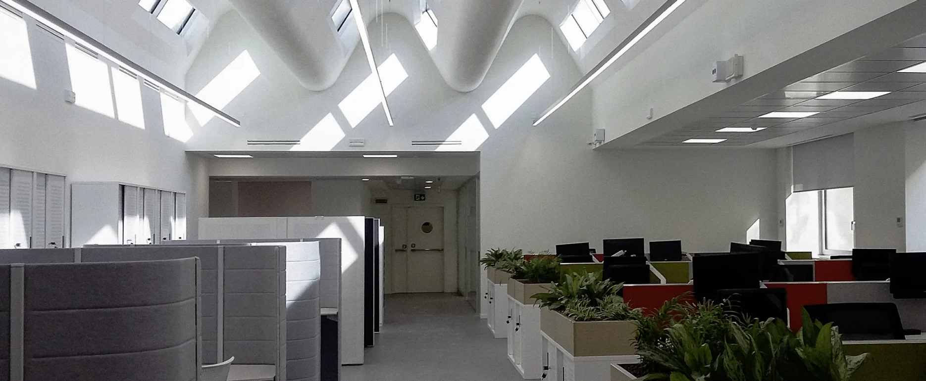 Office Via Carducci